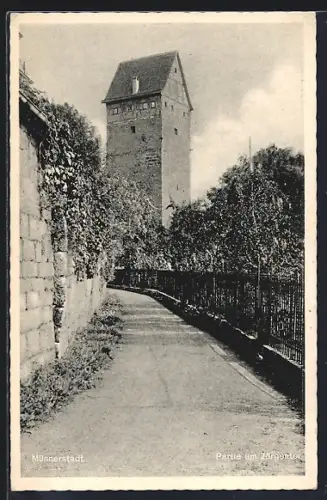 AK Münnerstadt, Partie am Jörgentor