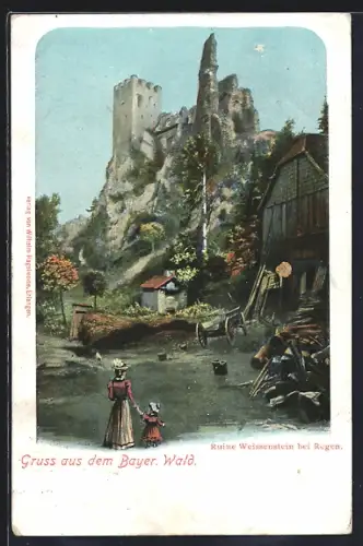AK Regen, Partie an der Ruine Weissenstein