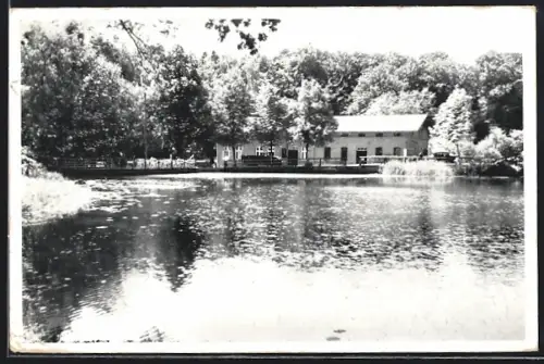 AK Aumühle /Sachsenwald, Gasthaus zur Mühle, Inh. Rud. Rohde