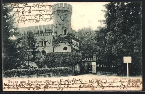 AK Potsdam-Wildpark, Eingang zum Forsthaus Wildpark