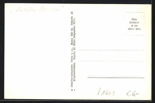 AK Egsdorf am Teupitzsee, Seeansicht, Insel, Uferlandschaft