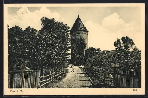 AK Plau i. M., Burg