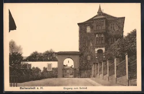 AK Ballenstedt a. H., Eingang zum Schloss