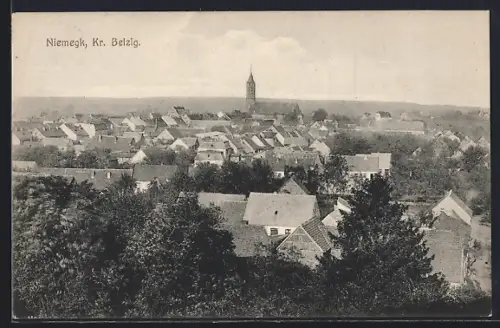 AK Niemegk /Belzig, Ortsansicht mit Kirche