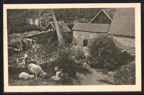 AK Bremsdorfer Mühle /Fünfeichen, Mühlenhof mit Wirtschaftsgebäuden und Schafen
