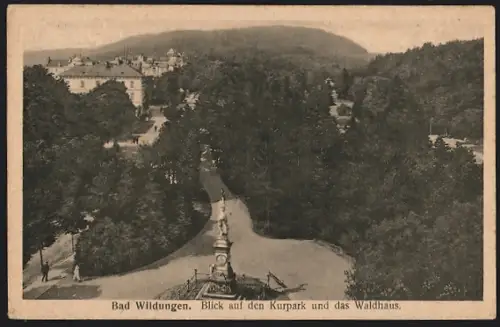 AK Bad Wildungen, Kurpark, Waldhaus