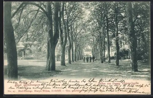 AK Bad Wildungen, Allee zur Georg Victor Quelle