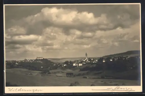 AK Wildungen, Panorama mit Schloss und Stadtkirche