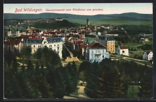 AK Bad Wildungen, Gesamtansicht vom Waldhaus aus gesehen