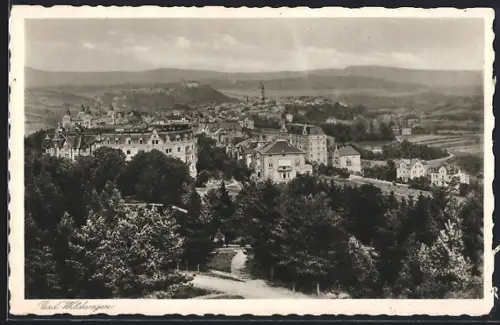 AK Bad Wildungen, Panoramaansicht der Stadt, Parkanlagen, umliegende Berge