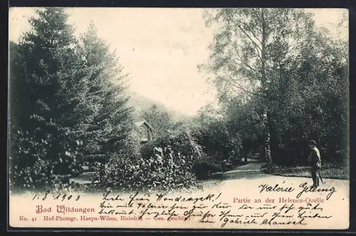 AK Bad Wildungen, Partie an der Helene-Quelle