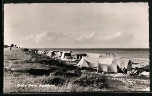 AK Grube-Rosenfelde / Holst., Gruber Strand, Camping und FKK Baden