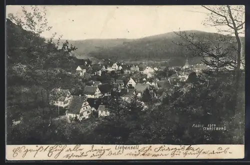 AK Liebenzell, Ortsansicht