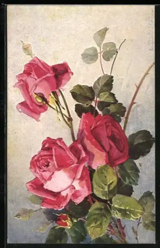 Künstler-AK Eduard Reckziegel: Drei blühende Rosen