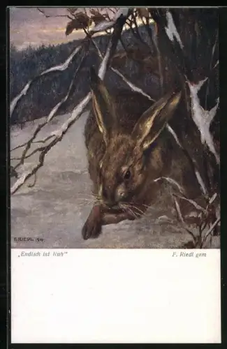 AK Endlich ist Ruh, Feldhase an einem Baum