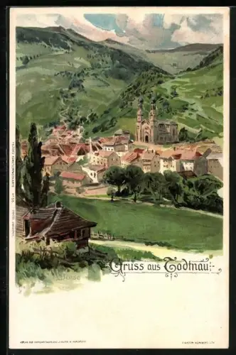 Künstler-AK C.Biese: Todtnau, Ortsansicht