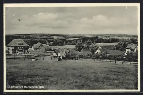 AK Schledehausen / Bissendorf, Kuhweide mit Blick auf die Umgebung