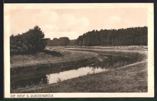 AK Quakenbrück, Hasepartie mit Waldgebiet