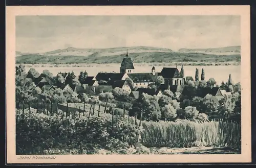 AK Insel Reichenau / Bodensee, Ortsansicht, Kirche, Kloster Mittelzell