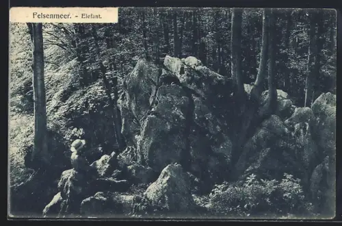 AK Felsenmeer / Hemer, Elefant, Felsformation