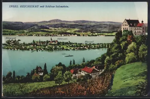AK Reichenau / Bodensee, Schloss Salenstein