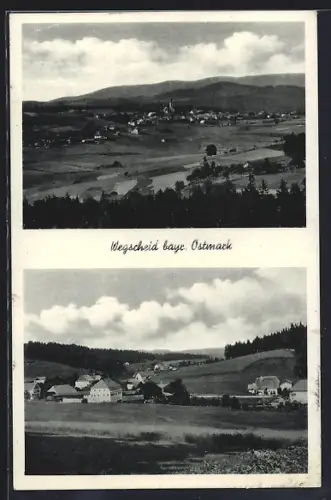AK Wegscheid / Bayr. Ostmark, Totalansicht mit Kirche