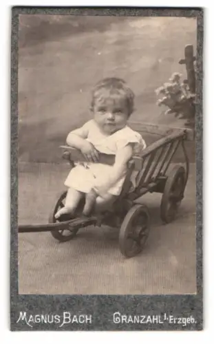 Fotografie Magnus Bach, Cranzahl i. Erzgeb., Kleinkind in Holzwagen