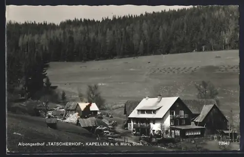 AK Kapellen a. d. Mürz, Alpengasthof Tatscherhof