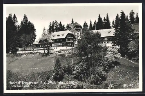 AK Alpl /Waldheimat, Gasthof Bruggraber, Totalansicht