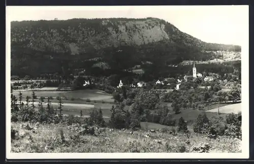 AK Radegund, Ortsansicht mit Schöckl