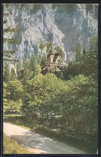 AK Eisenerz-Münichtal, Das Schloss Leopoldstein hinter Bäumen