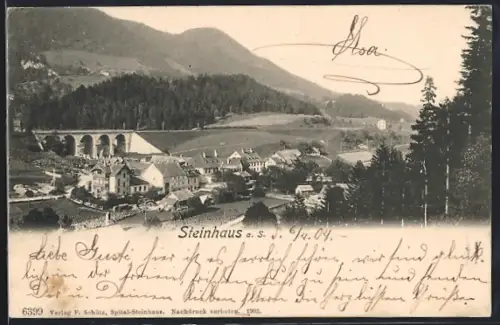 AK Steinhaus a. S., Totalansicht mit Viadukt
