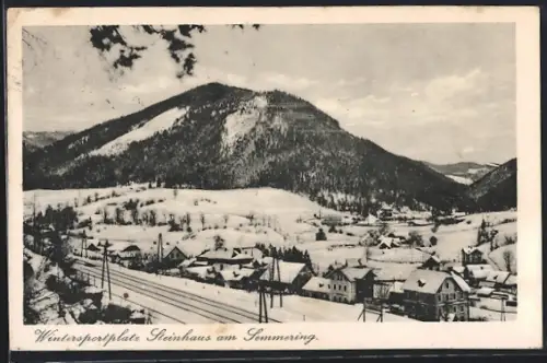 AK Steinhaus am Semmering, Totalansicht im Winter mit Bahnschienen u. Berg