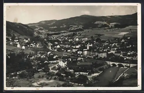 AK Mürzzuschlag, Gesamtansicht mit Viadukt und Bergpanorama