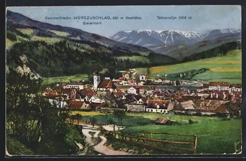 AK Mürzzuschlag, Weg zum Ort, Schneealpe