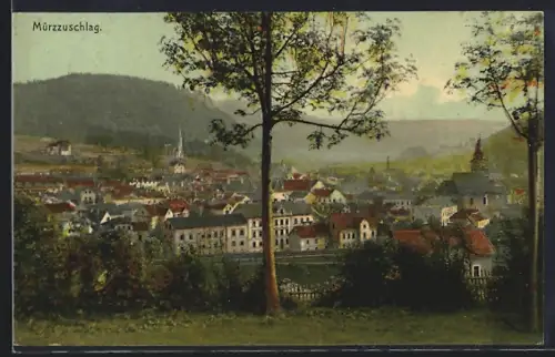 AK Mürzzuschlag, Ortsansicht mit Bergpanorama