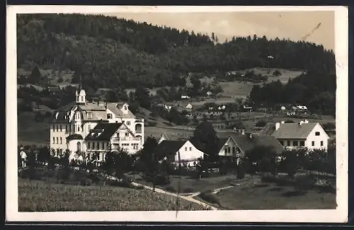 AK Dult /Steiermark, Ortsansicht und Hotel