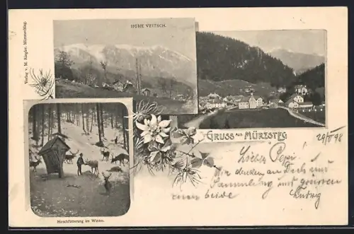AK Mürzsteg, Ortsansicht, Hirschfütterung im Winter, Hohe Veitsch