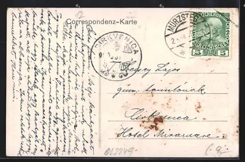 AK Mürzsteg, Blick zum Kaiserl. Jagdschloss