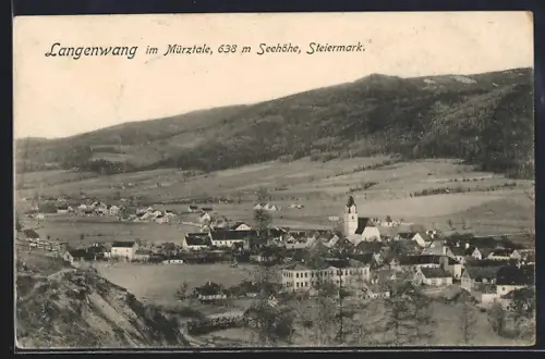 AK Langenwang im Mürztale, Ortsansicht bei Tag