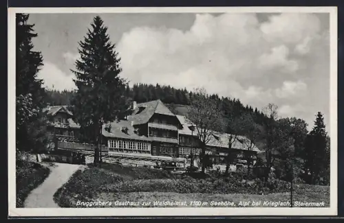 AK Alpl bei Krieglach, Bruggraber`s Gasthaus zur Waldheimat