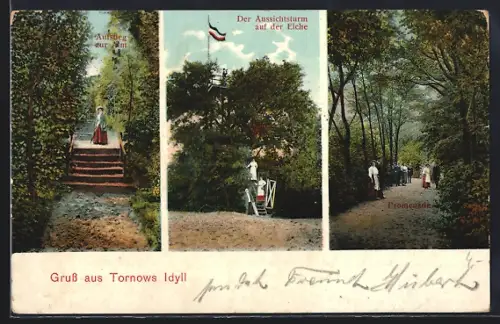 AK Tornow / Teupitz, Aufstieg zur Alm, Aussichtsturm auf der Eiche, Promenade