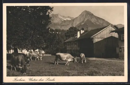 AK Fischen / Allgäu, Unter der Linde, Kühe, Bauernhäuser, Alpenpanorama
