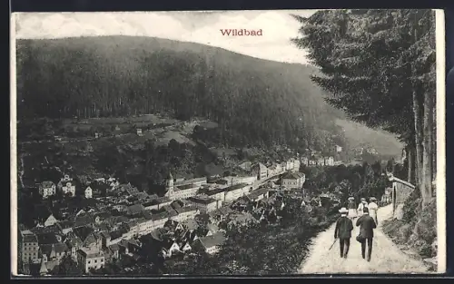 AK Wildbad / Schwarzwald, Blick auf Stadt und Tal