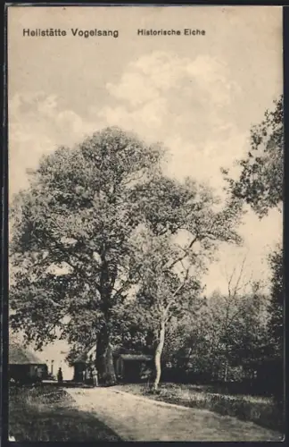 AK Vogelsang / Heilstätte, Historische Eiche