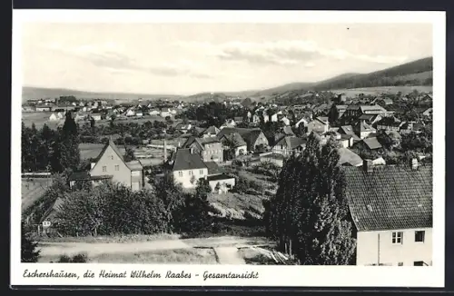 AK Eschershausen / Holzminden, Die Heimat Wilhelm Raabes, Ortspanorama