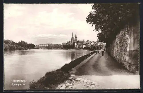 AK Regensburg, Donaupartie