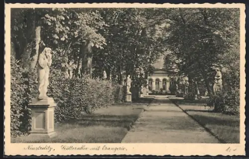 AK Neustrelitz, Götterallee mit Orangerie