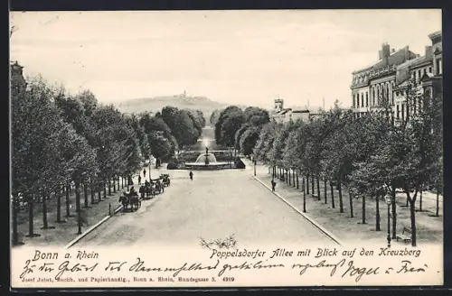 AK Bonn a. Rhein, Poppelsdorfer Allee mit Blick auf den Kreuzberg
