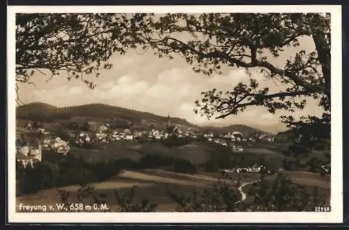 AK Freyung v. W., Panoramaansicht des Ortes